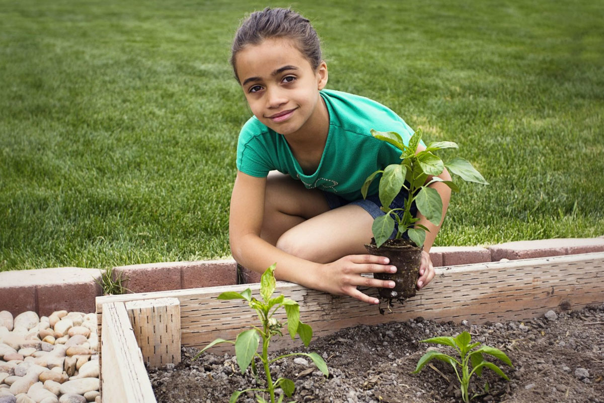 Retail Insights How does your garden grow?